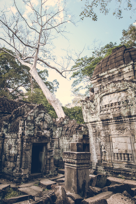 20170125_preah_khan_temple_42.jpg