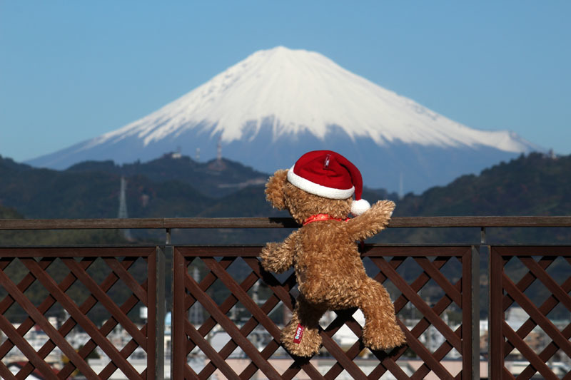Duffy 富士山を観る 城東保健センター 161217