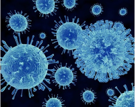 ノロウイルス大流行か…１０都県で警報レベル