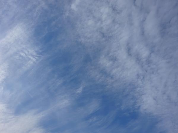 DSC02451.jpg