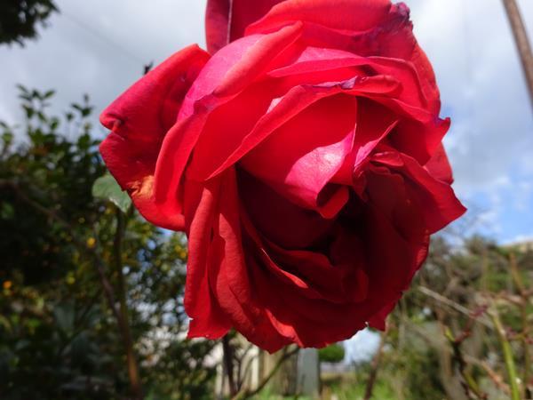 DSC03065.jpg