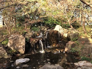 白鳥庭園　滝