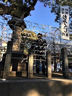 八剣神社2016/1/1　おみくじ