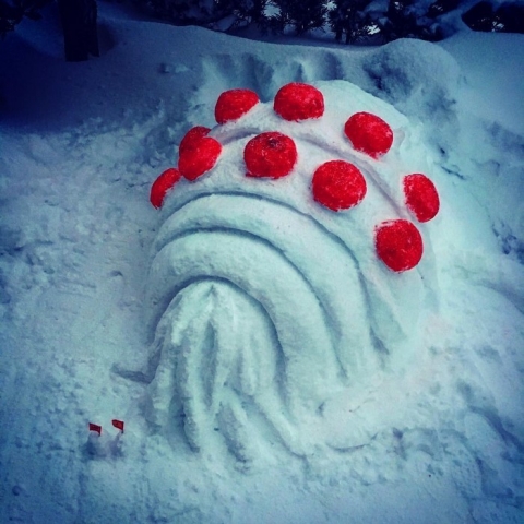 creative-snow-sculptures-heavy-snowfall-japan-11-587e213d41b0b__700.jpeg