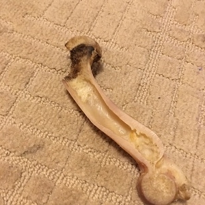 骨2