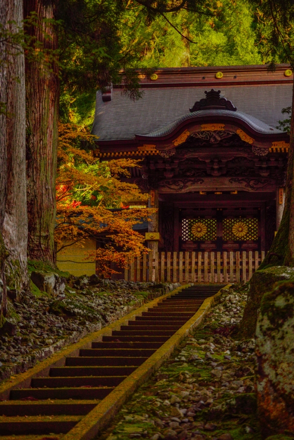 2016 eiheiji temple in autmun 06