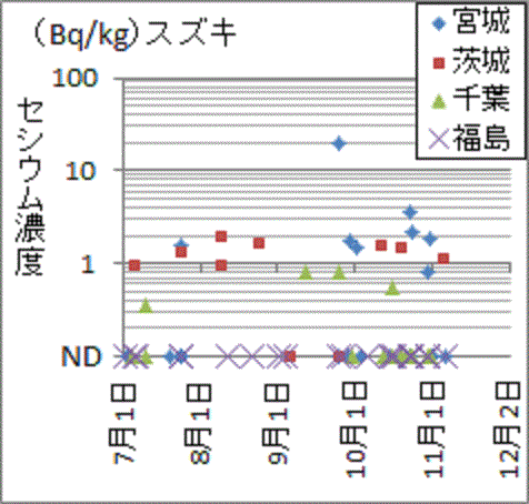福島は全数ＮＤ、宮城、茨城、千葉はそこそこセシウム入りのスズキの検査結果
