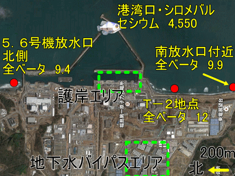 事故から５年８ヶ月経て汚染が続く福島第一沖の外洋