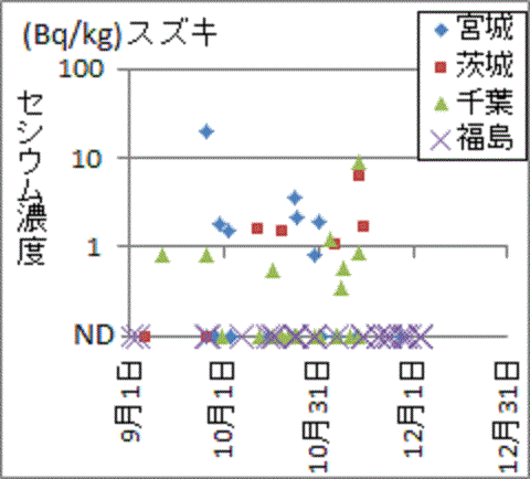 宮城、茨城、千葉では見つかりのに福島では見つからないスズキのセシウム検査結果