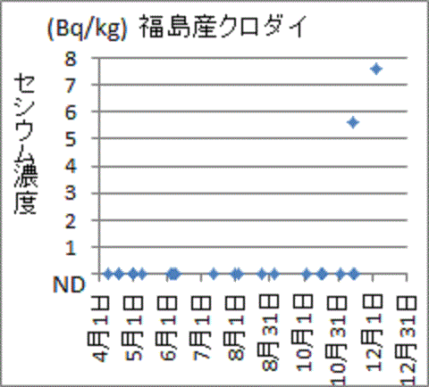 １１月から急に上昇した福島産クロダイのセシウム濃度