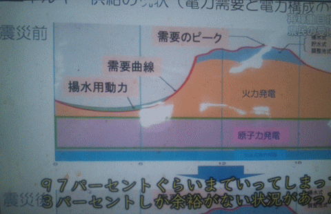 震災前の電源構成（東京電力主張）