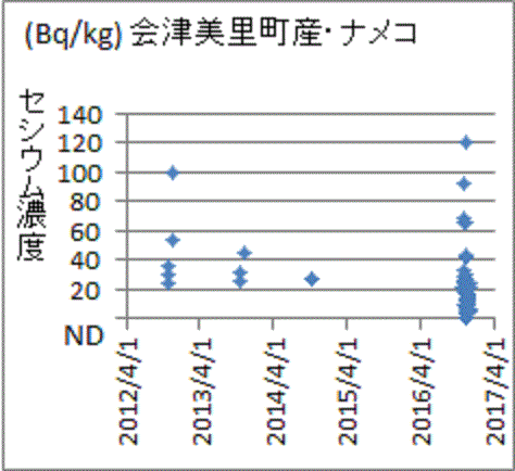 再上昇し基準値を超えた福島県会津美里町産ナメコの検査結果