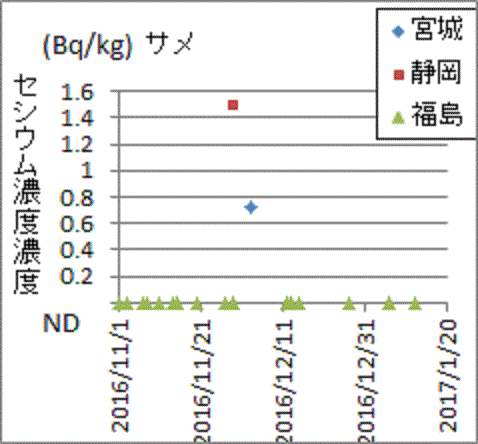 宮城・静岡産から見つかっても福島産サメからはセシウムが見つからない検査結果