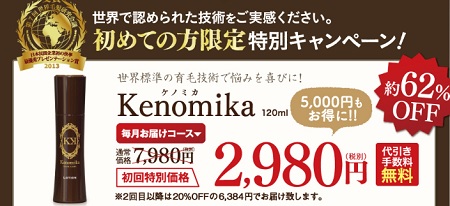 Kenomika9.jpg