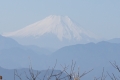 富士山1113
