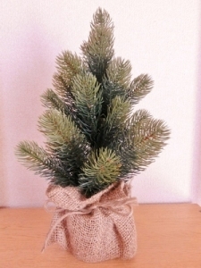 １１月クリスマスツリー1