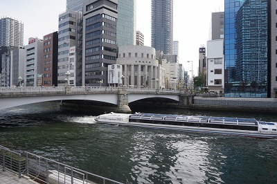 DSC01971.jpg