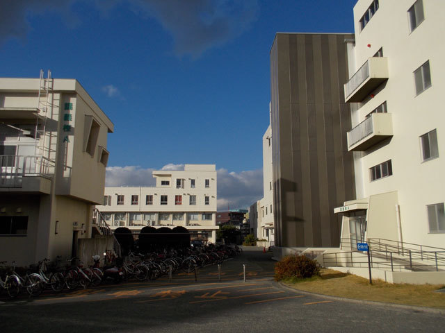 DSCN3486.jpg