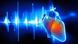 heart-physiology.jpg