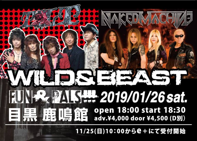 wild_and_beast_fun_and_pals_2019_rockmeikan-flyer1.jpg