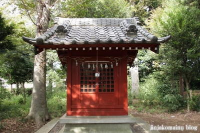 甲子神社（桶川市坂田）6