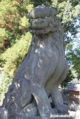 氷川神社(上尾市地頭方)29