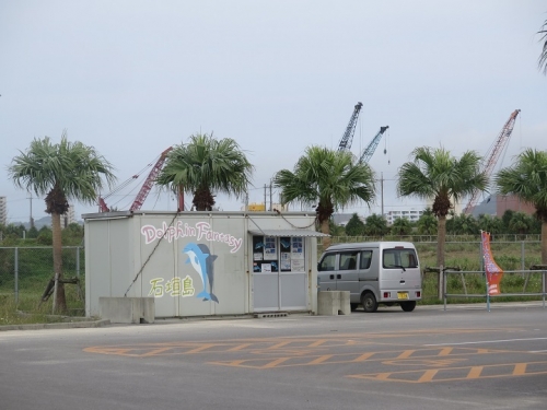 石垣島　イルカと遊ぶ施設