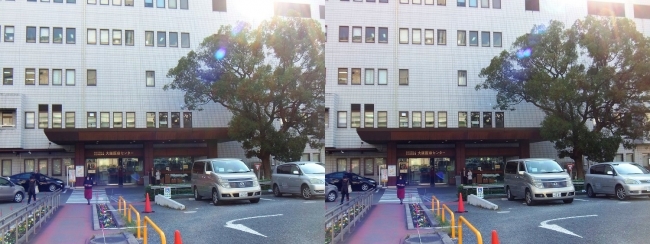 国立病院機構 大阪医療センター(交差法)