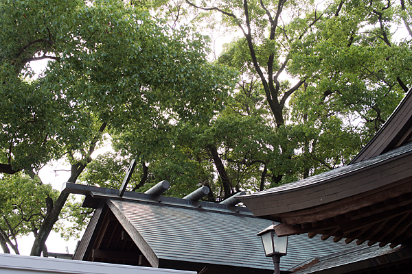 神明社本殿の屋根