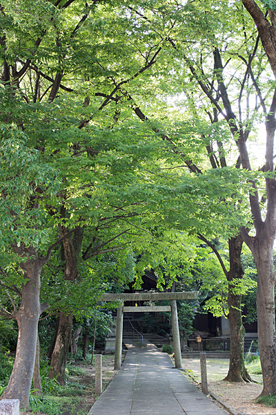 須佐之男神社境内と森の風景